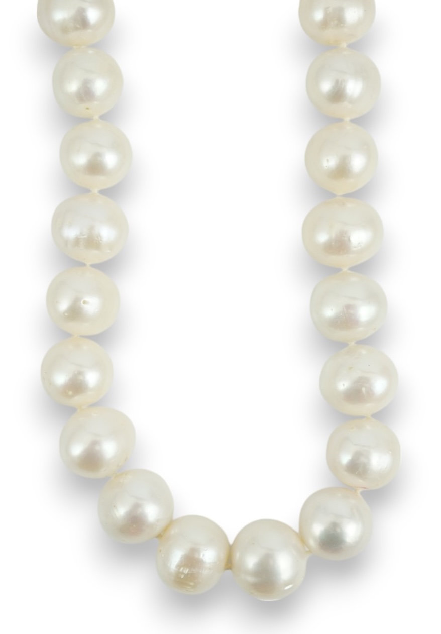 A single strand South Sea? cultured pearl necklace, with 14k yellow metal clasp, 44cm